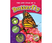 The_Life_Cycle_of_a_Butterfly